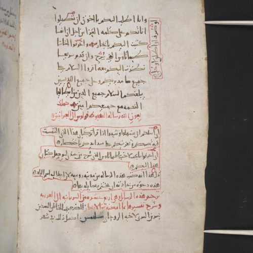 Biblia Arabica Blog: Lost in the Margins: Reference Marks in MS Sinai, Arabic 151